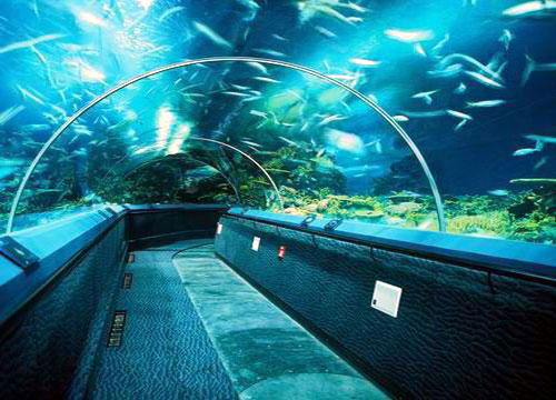上海海洋水族馆