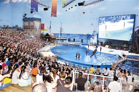 海洋馆上演海洋大马戏