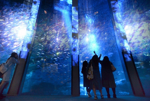 超梦幻：日本打造海底冰雪世界多彩光影炫目（图）