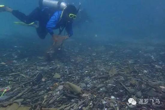 泰国旅游胜地普吉岛海底垃圾成山