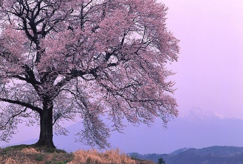 秋季旅游摄影技巧完全攻略