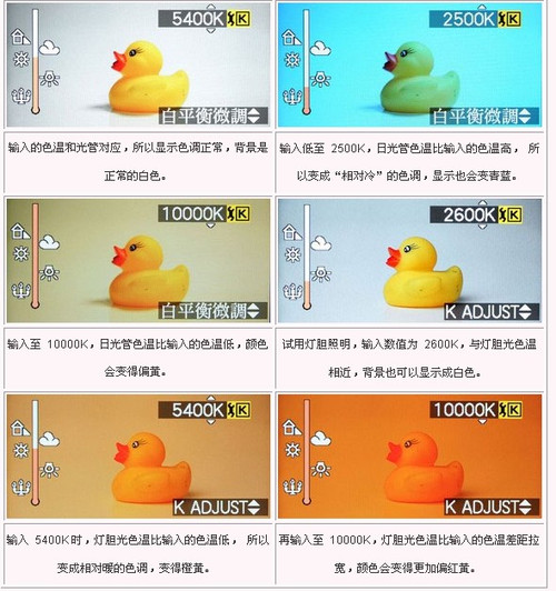 新手速成 寻找相片的“白色” 认识白平衡