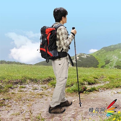 两用脚架