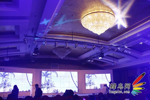 智领随芯心安于质 NEC工程显示器发布