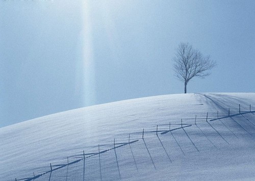 冰雪摄影