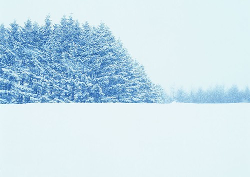 冰雪摄影