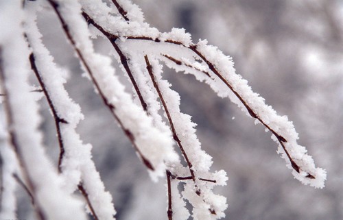 冰雪摄影