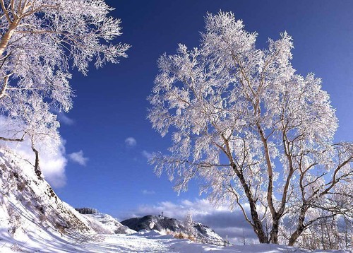 冰雪摄影