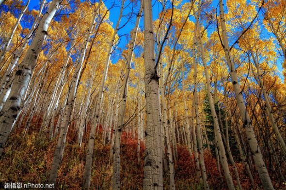 photo by Mitch Johanson photo by Mitch Johanson