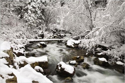 冬天拍照去 简易雪景摄影小技巧