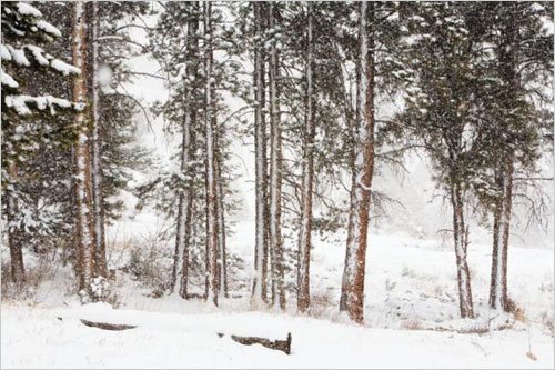 冬天拍照去 简易雪景摄影小技巧