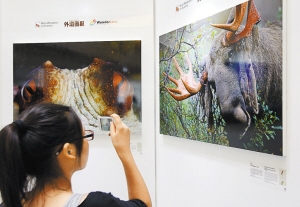 “奇境欧洲”摄影展中国深圳站隆重开幕