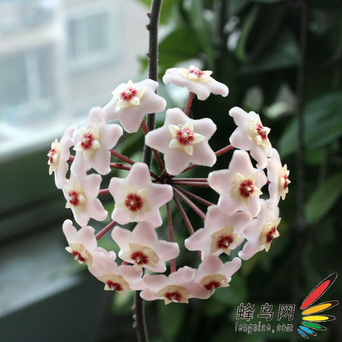 解密静物摄影