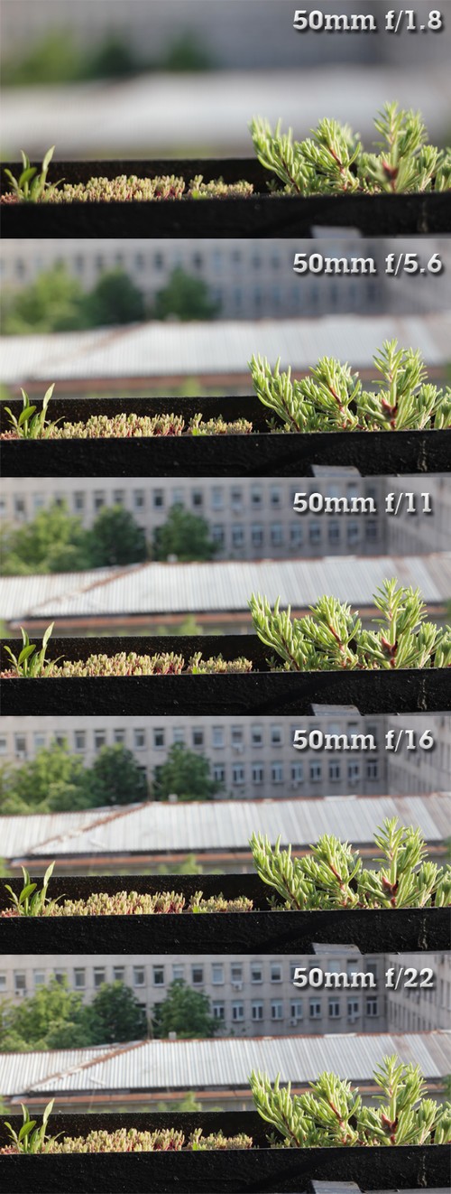 摄影师带你去了解影响景深的所有因素