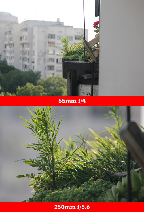 摄影师带你去了解影响景深的所有因素