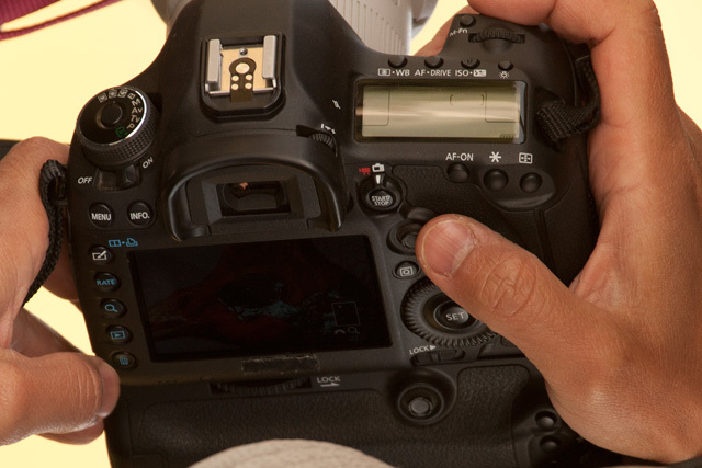 传佳能5D将分身5DX和5DMarkIII