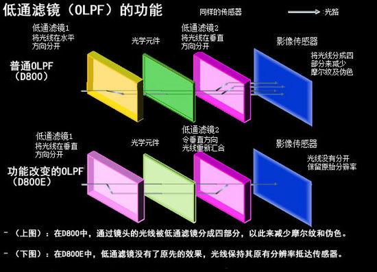 尼康D800与D800E低通滤镜区别详解
