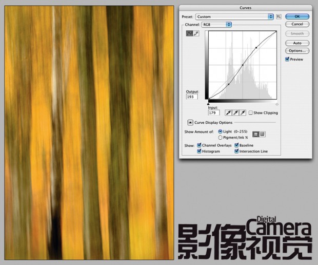 DCM117.shoot7-5