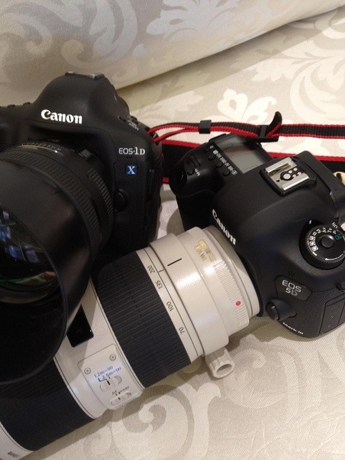 佳能EOS5D Mark III高清谍照现身外网