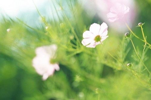 另外一种摄影玩法 虚像摄影的10个技巧