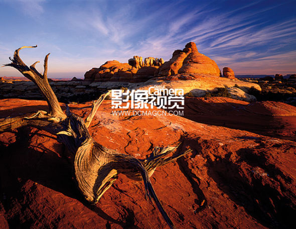 摄影技巧:职业摄影师的构图秘籍