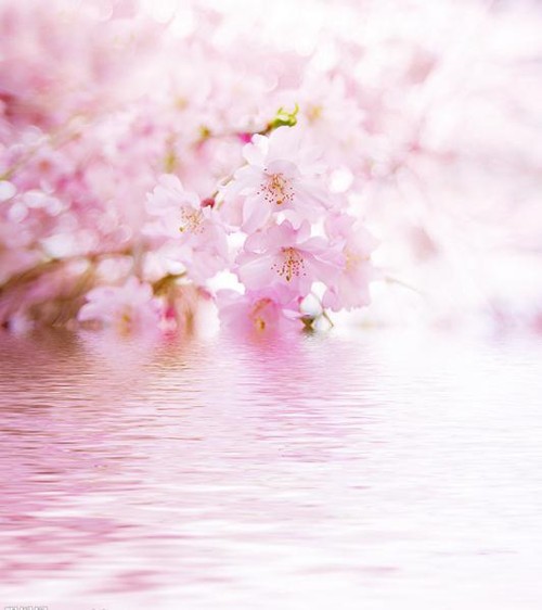 拍花