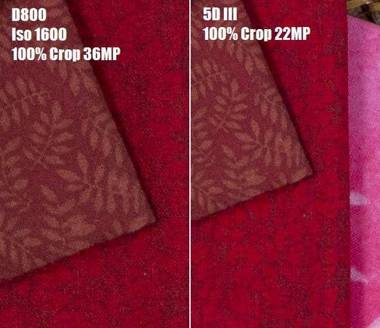 佳能5D III与尼康D800 RAW格式高感对比