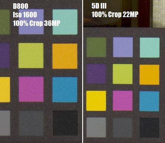 佳能5D III与尼康D800 RAW格式高感对比