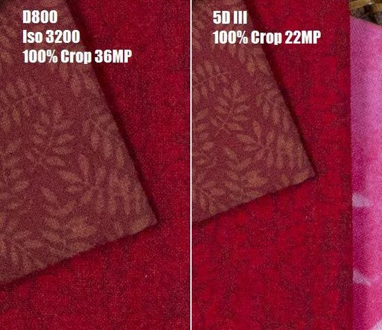 佳能5D III与尼康D800 RAW格式高感对比