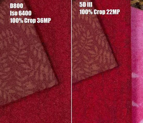 佳能5D III与尼康D800 RAW格式高感对比