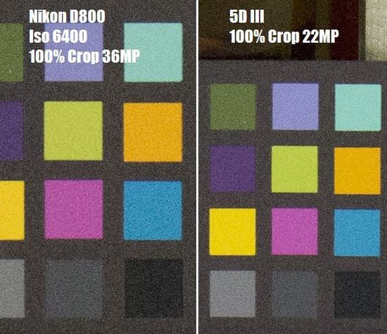 佳能5D III与尼康D800 RAW格式高感对比