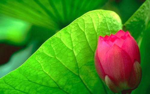 记住5个重点 帮你拍出清晰锐利照片 