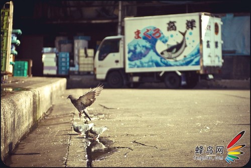 如何保持照片的干净 那些有故事的日系画面