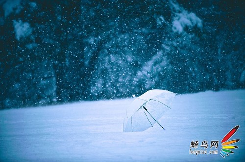 苍旻之鹰和他那些有故事的画面