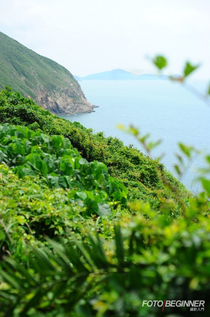 善用对焦点 创造浅景深的构图