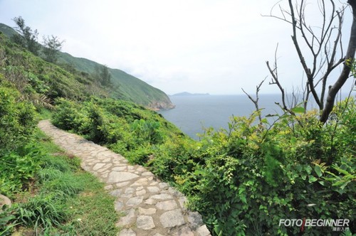 善用对焦点 创造浅景深的构图