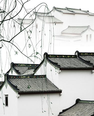 最能打动国际影赛评委的8大题材