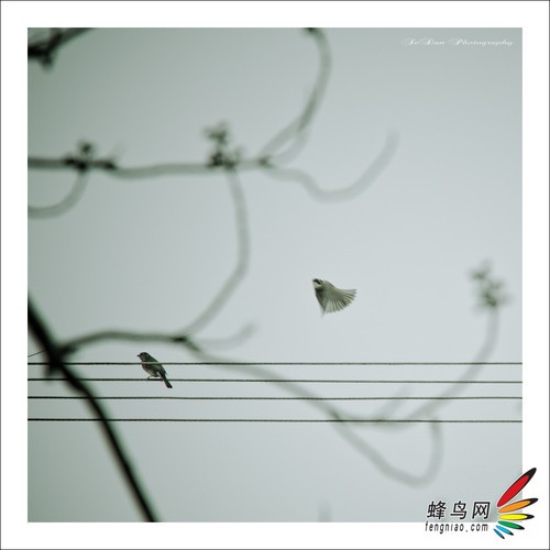 线条