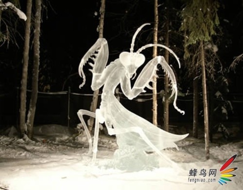 属于寒冬的影像 捕捉不一样的冰雪世界