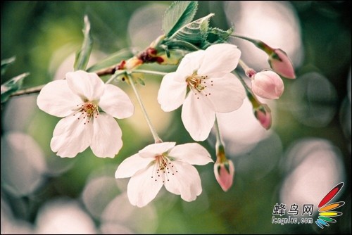 回顾这一年 2012属于摄影者的影像记忆