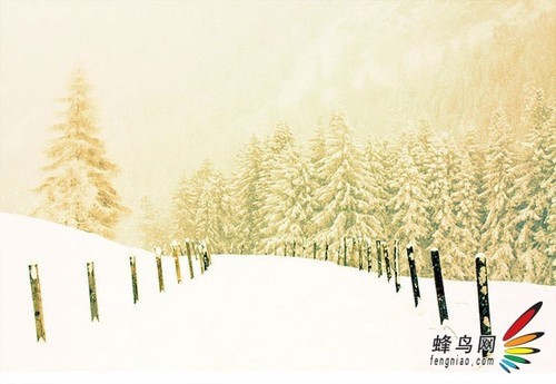 回顾这一年 2012属于摄影者的影像记忆
