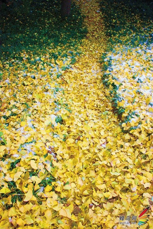 回顾这一年 2012属于摄影者的影像记忆