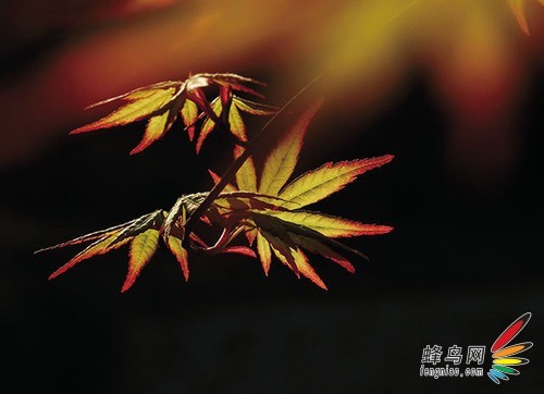 回顾这一年 2012属于摄影者的影像记忆