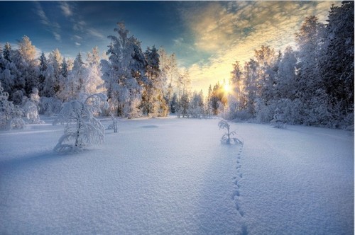冬日雪景拍摄经典教程
