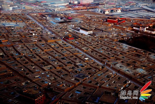 “镜头里的中国-腾龙行”首站活动圆满成功