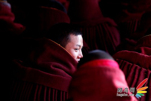 “镜头里的中国-腾龙行”首站活动圆满成功
