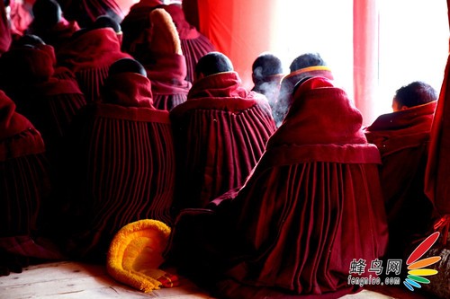 “镜头里的中国-腾龙行”首站活动圆满成功