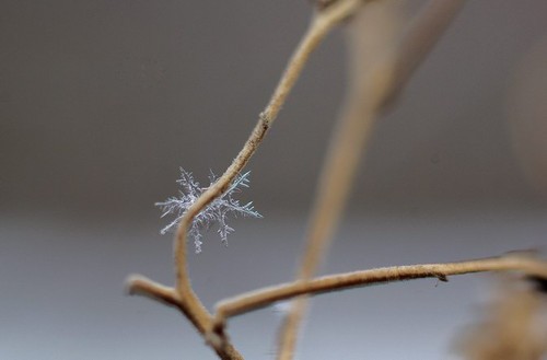 冬天拍雪景摄影师必备20招
