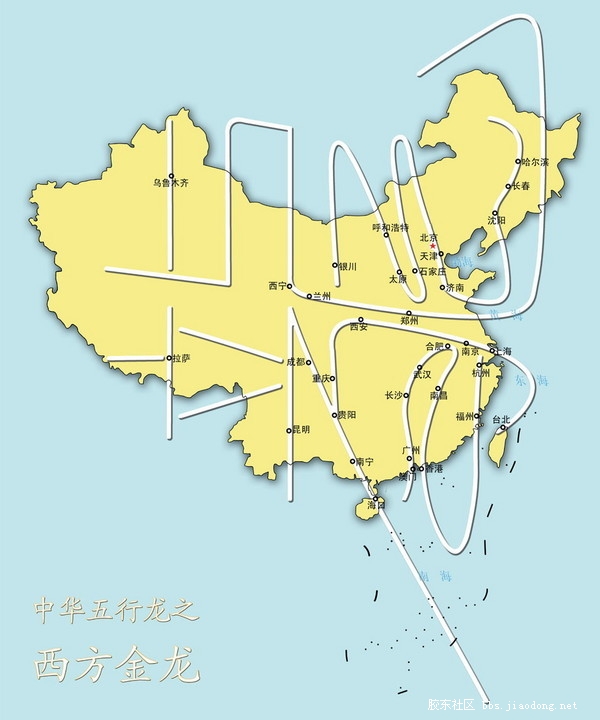 金龙.jpg