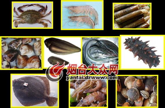 点击浏览下一张